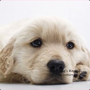 唐代的现代李白