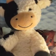 你有看见我的小乖吗