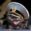 Captain Kitten