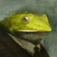 Paumito