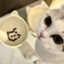 涑