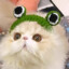 Steam avatar