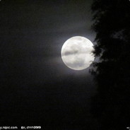 小遗憾-龙神形态