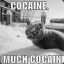 COCAINE, so much COCAINE