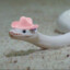manguera