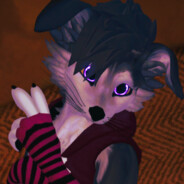 Sspray.Wolf avatar