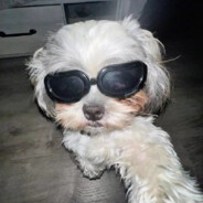 叫我小璇就好了