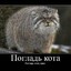 ManuL