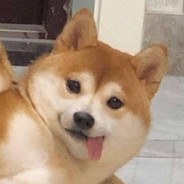 CK
