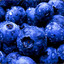 fresh blueberry