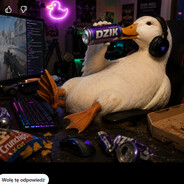 Avatar gracza lubię kaczke discord.gg/cscdc