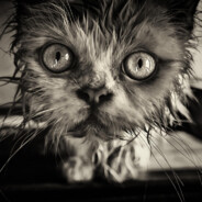 没实力只会怪东怪西