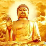 南无本师释迦牟尼佛