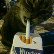 GOOD_SK 240km/h peek