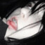 снюсик имба пиздец's avatar
