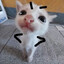 eepy♥