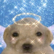 Nefarious and evil puppy