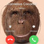 cornelius coconut
