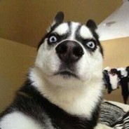 程浩洛夫斯基·天