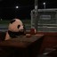 er0ticpanda