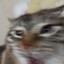 Dan D