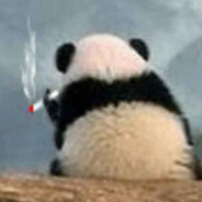 小熊猫点烟说起了从前