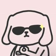 盆地黑猪想问题