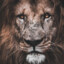ARYT_777