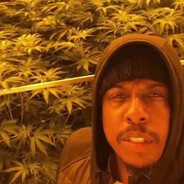 KushCowboy