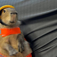 PERRY EL ORTITO RICO