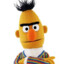 Bert