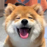 黑格尔头号黑粉