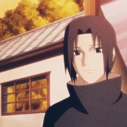 白袍银枪梅子酒