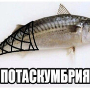 Фалоимигрантка