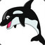 CrazyKillerWhale