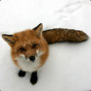 :E ! FuX - steam id 76561197964992585