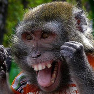 ☘ѺMǤ THATS ⱮONƘEƳ☘