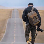 小小牛马就是wo