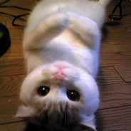 你看我Rush不Rush你就完了