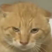 ccc