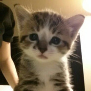 🅳🅹 ɪɴғᴀɴᴛʀʏ