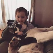 层楼终究误少年