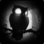 OwlShadow2