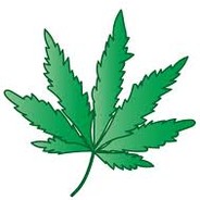 Kannabiss - steam id 76561198875333173