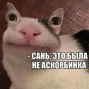 sektn6
