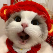 >>> FreezE <<< - steam id 76561198840860993