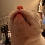 WTF_Man - steam id 76561198091923891