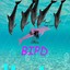 BIPD PinkDolphin