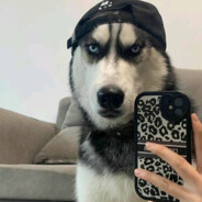 双层吉士鳕鱼堡