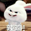 xym普物量子